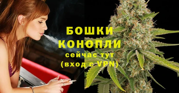марки lsd Новозыбков